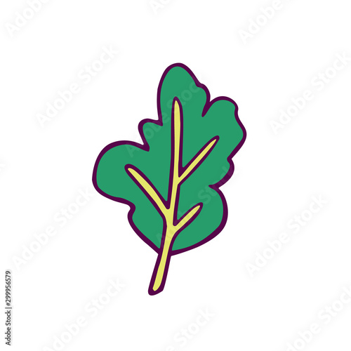 salad leaf (spinach or arugula)  hand-drawn in cartoon style, colored artwork isolated on white background, in vector.