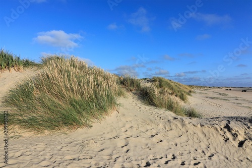 sand dune with beach grass, holiday by the sea 