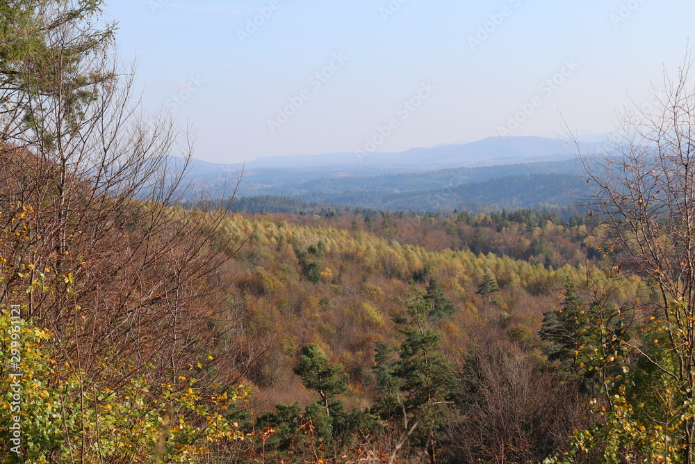 Fototapeta premium nebellandschaft