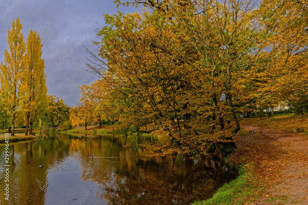 Autumn around the lake