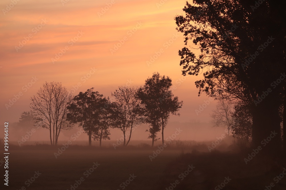 Obraz premium Rural landscape on an autumn morning