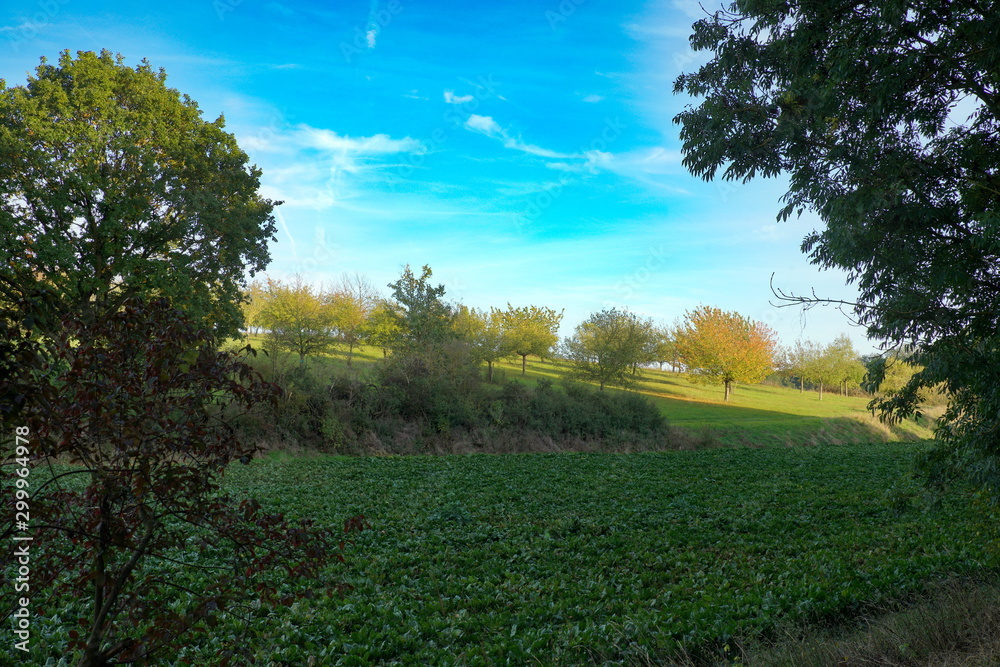 Landschaft Ochsenfurter Gau Nähe Gnodstadt Landschaft Ochsenfurter Gau Nähe Gnodstadt