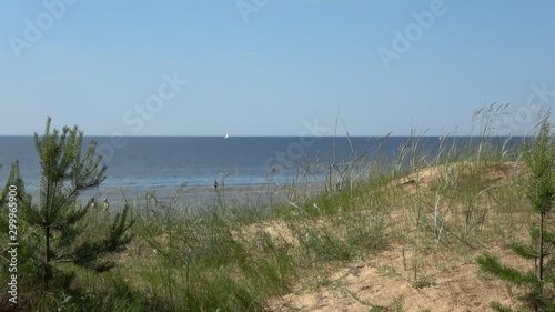 Baltic sea beach, Narva Joesuu, Estonia,  View of beautiful landscape with the Baltic sea   and dunes. photo