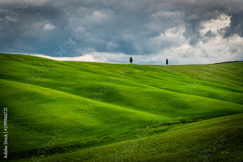 Hills like waves Typical Tuscany landscapes photo