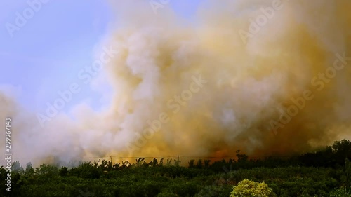 Thick plumes of dark smoke rise from the forest in a city that is on fire and burning due to deforestation. Dark yellow, black, and gray smoke billows into the sky.