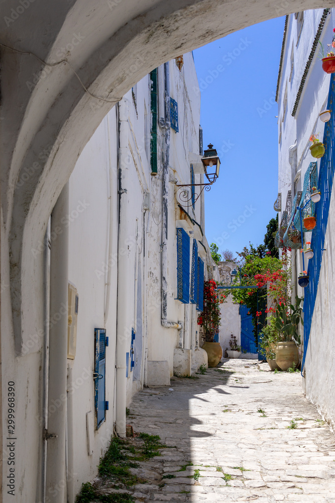 Sidi bou said Street, blue and white. Tunisia