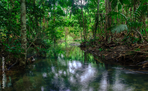 green trees around the streams represent the abundance of rainforest in Thailand,Phang Nga,Koh Yao Yai
