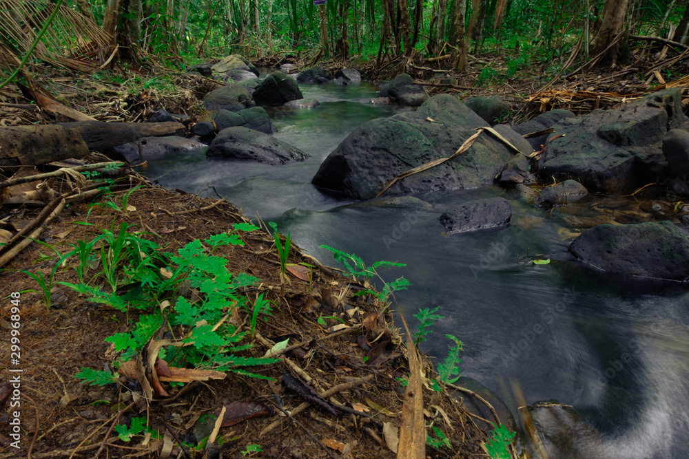 abundance of rainforest in Thailand,Koh yao yai,Phang Nga abundance of rainforest in Thailand,Koh yao yai,Phang Nga