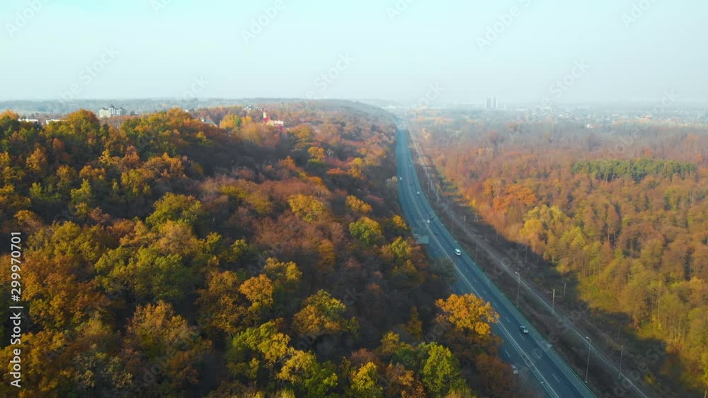 Aerial view of road in beautiful autumn forest at sunset. Beautiful landscape with empty rural road, trees with orange leaves. Highway leading to city from autumn forest. Top view from flying drone.