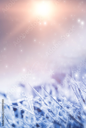 Empty snowy scene. Abstract winter background. Frost, snowflakes. Sunlight in the winter. © MiaStendal
