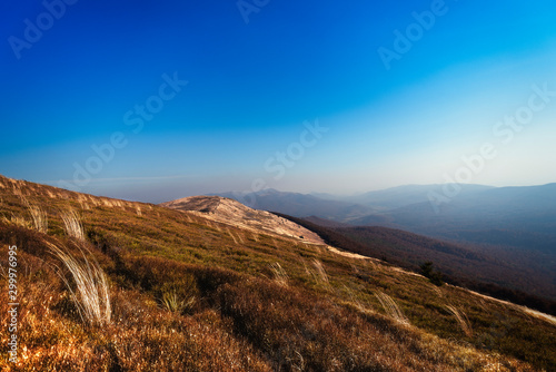 Obraz na płótnie Bieszczady w salonie
