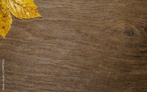 Maple leaf, oak grain