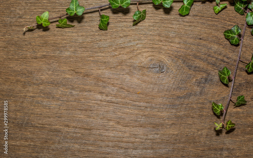 Maple leaf, oak grain