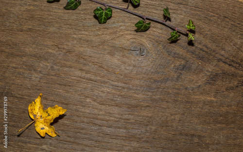 Maple leaf, oak grain
