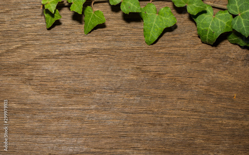 Maple leaf, oak grain