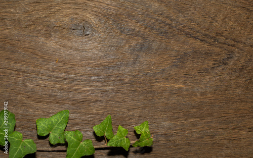 Maple leaf, oak grain