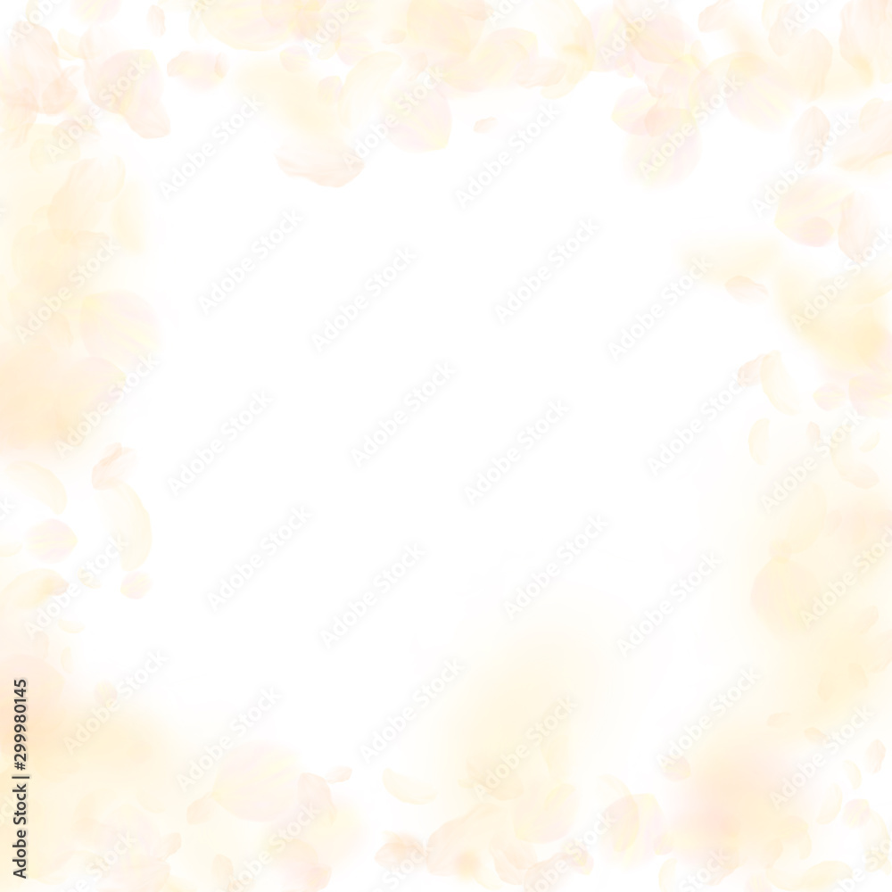Yellow orange flower petals falling down. Favorabl