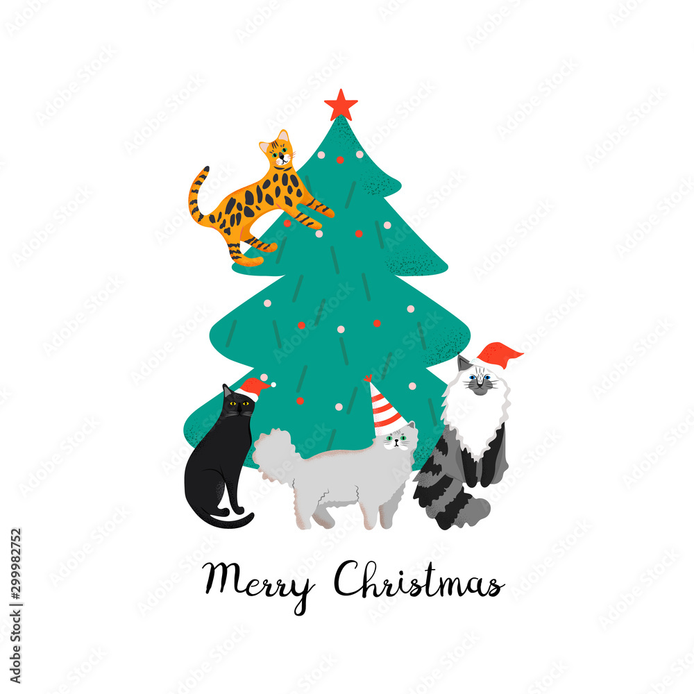 Design template card with cute domestic cats. Merry Christmas holiday poster with funny animals. Design template card with cute domestic cats. Merry Christmas holiday poster with funny animals.