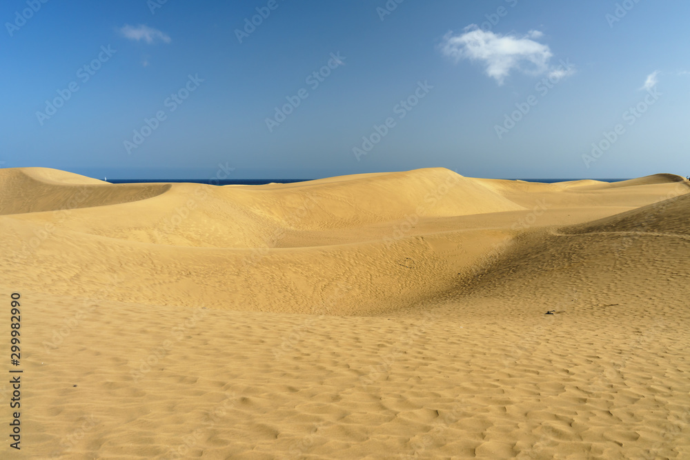 The great desert Dunas de Maspalomas in Gran Canary The great desert Dunas de Maspalomas in Gran Canary