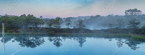 Fotografia Sunrise in the bog landscape