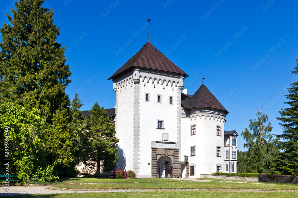 Castle Velke Mezirici, Vysocina district, Czech republic, Europe