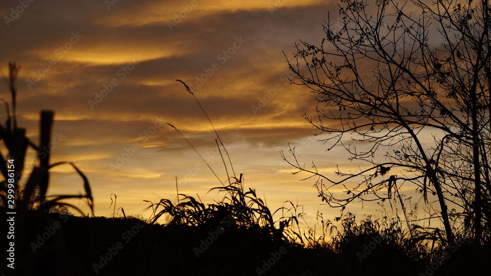 Obraz premium Abendstimmung