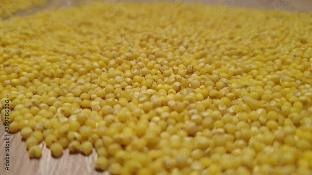 Millet groats. Millet close-up. Panicum grits. Wheat groats. Millet groats. Millet close-up. Panicum grits. Wheat groats.
