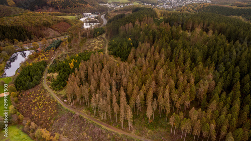 Waldveränderung durch Klimawandel Luftaufnahme photo