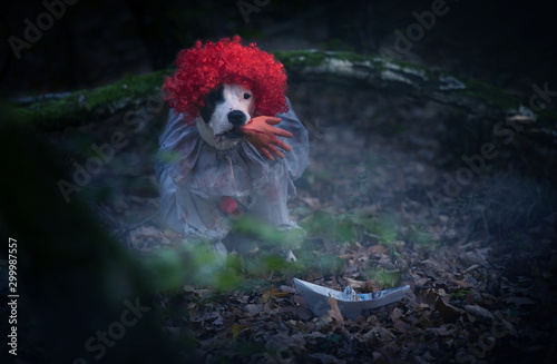 Gruseliges Hundeshooting: Clown Pennywise ist zurück photo