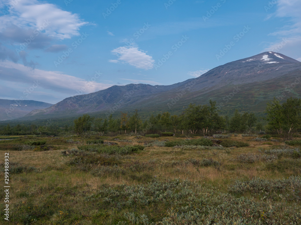 Beautiful wild Lapland nature landscape with birch tree forest and mountain Sanjartjakka. Northern Sweden summer at Kungsleden hiking trail. Blue sky background