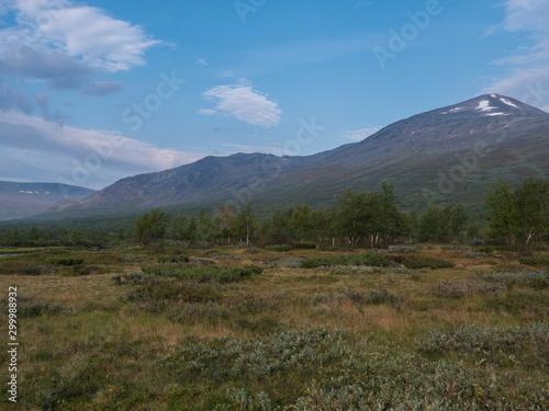 Beautiful wild Lapland nature landscape with birch tree forest and mountain Sanjartjakka. Northern Sweden summer at Kungsleden hiking trail. Blue sky background