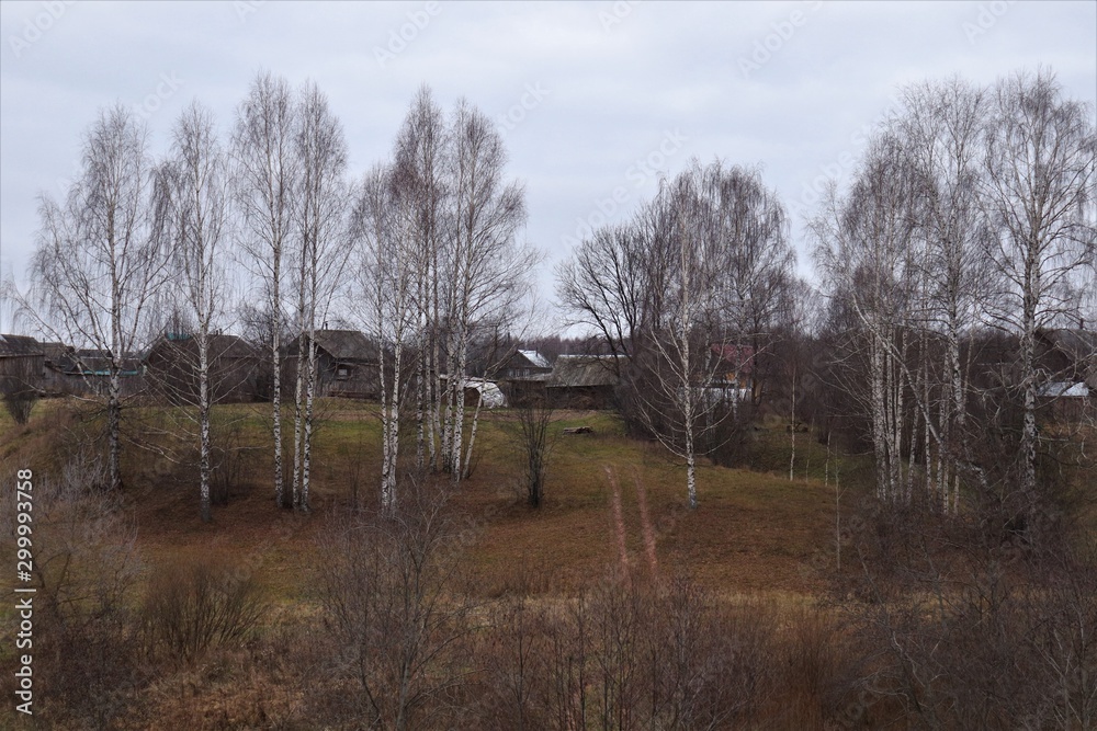 A small village with dark wooden houses and bare birches.