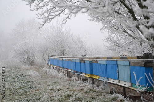 Beehives on an outcast misty winter day