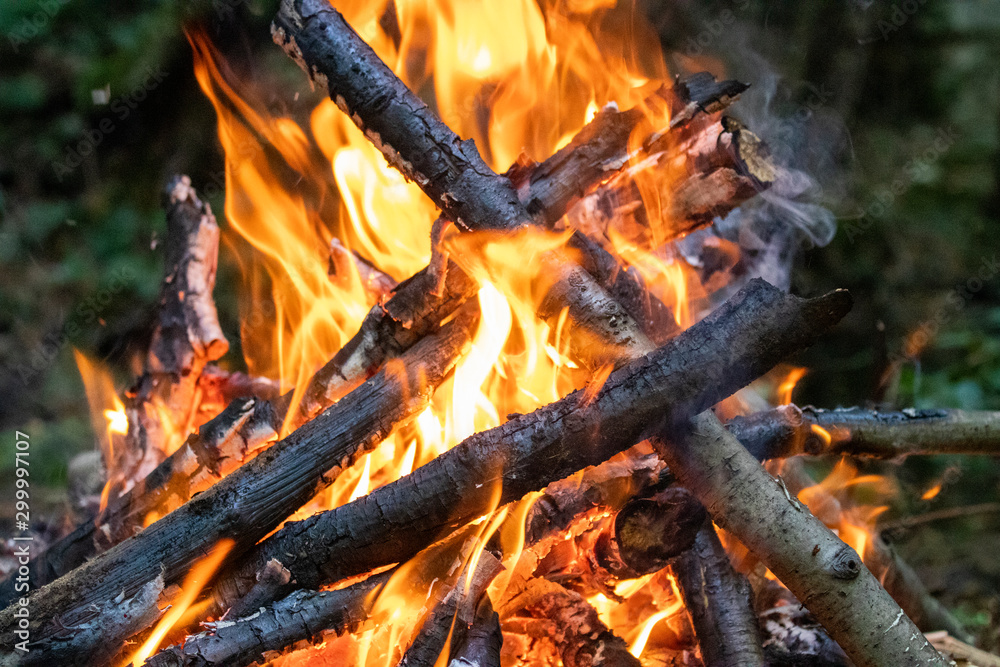 Burned wood fire to warm up or cook something Burned wood fire to warm up or cook something