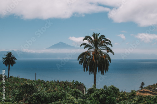 Beautiful landscape in La Gomera  Canary Islands