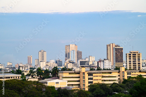 Panoramic view of Guayaquil city, were many of downtown buildings are in the background. Blue sky with some clouds. Trees in the foreground.