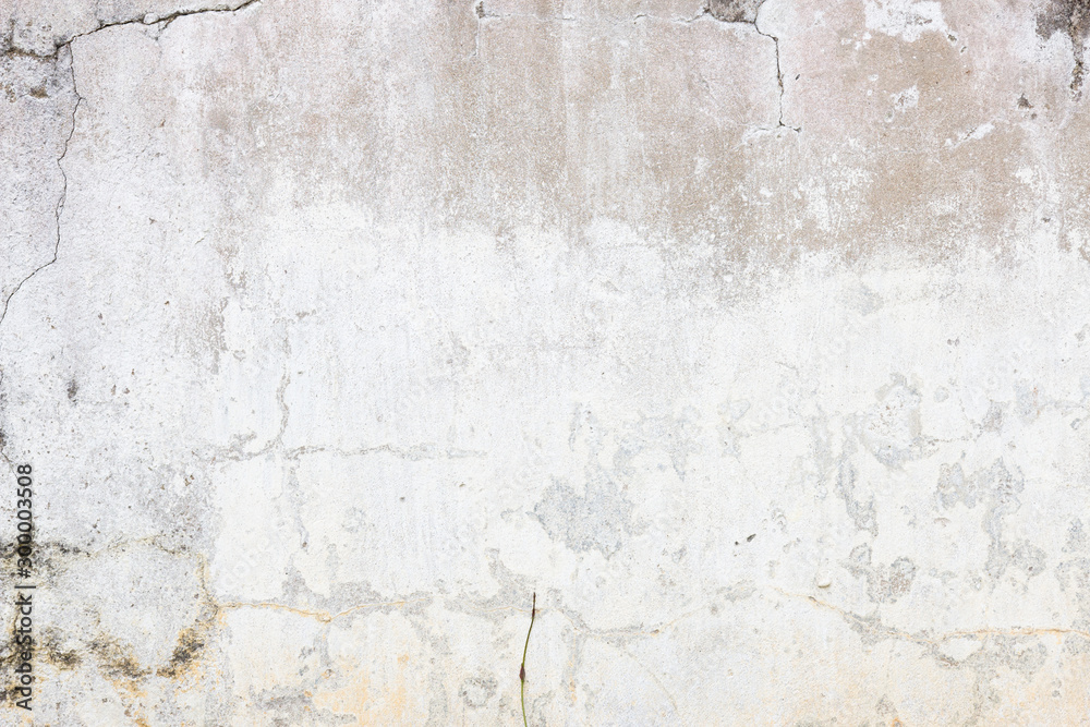 Fototapeta premium Old white concrete wall