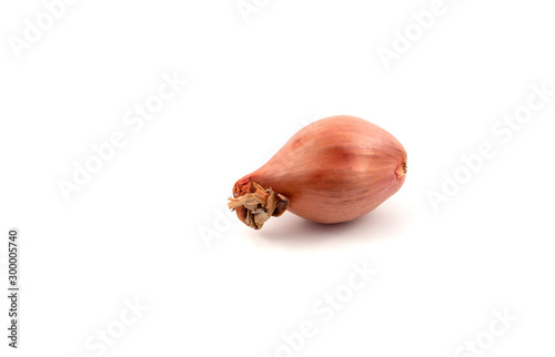 One shallot isolated on white background