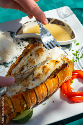Photography Lobster Lunch