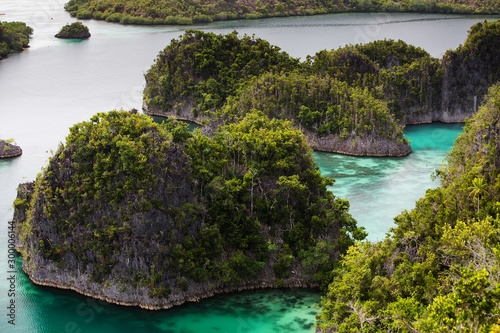 View to Piaynemo islands from the viewpoint, Raja Ampat, Indonesia © Maygutyak