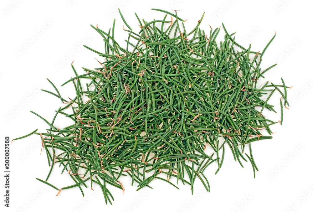 Green needles of christmas tree isolated on a white background, top view.