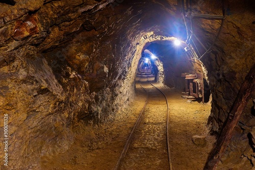Fototapeta Mining tunnel underground with lights and rails