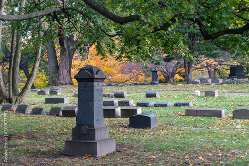 Beautiful Rest on a Fall Day