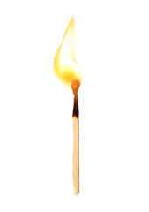 Burnt out match on white background