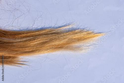 hair extension blond brown hair