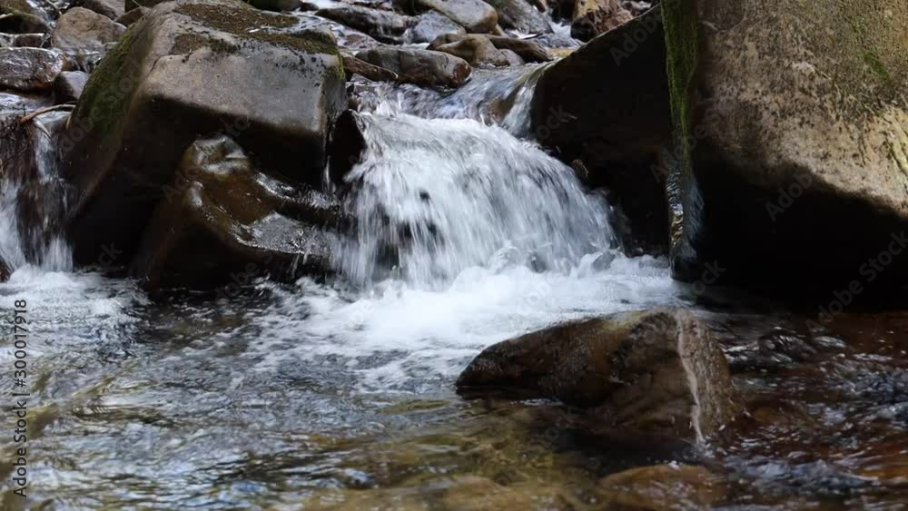 Mountain river flowing near the green forest. Travel in Carpathians of Ukraine nature. Strong stream of a mountain river Mountain river flowing near the green forest. Travel in Carpathians of Ukraine nature. Strong stream of a mountain river