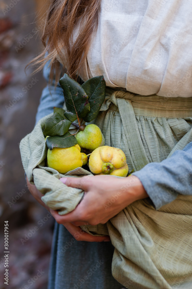 Young girl in blue linen dress and apron is holding few ripe yellow quinces in her hands. Outdoors. Old brick wall as decor - obrazy, fototapety, plakaty 