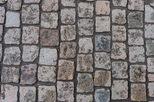 Photography Wet cobblestone in stockholm