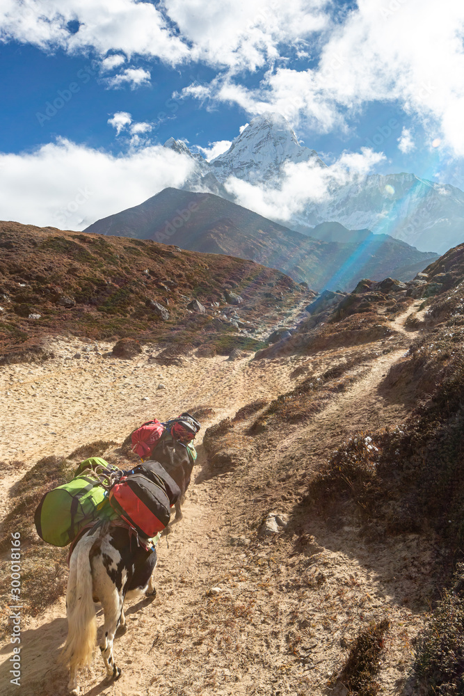 Fototapeta premium Ama Dablam Mountain. Trekking Everest Base Camp. Nepal.