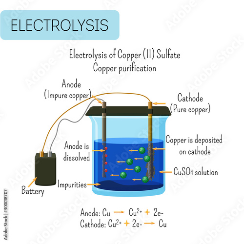 Electrolysis of copper sulfate solution with impure copper anode and pure copper cathode. photo